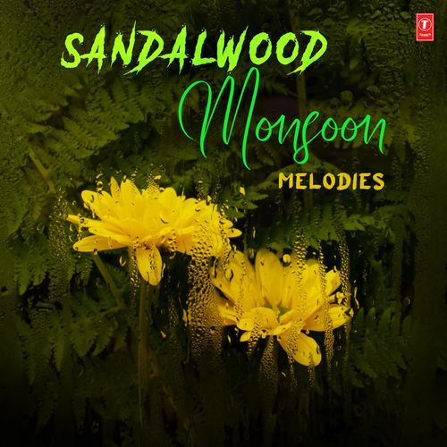 Sandalwood Monsoon Melodies