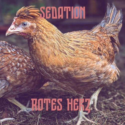 Sedation cover art