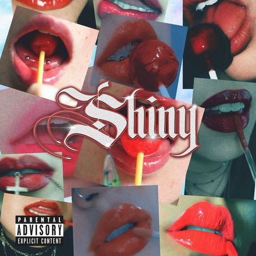 Shiny cover art