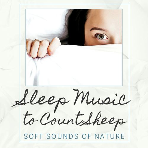 Sleep Music to Count Sheep: Soft Sounds of Nature for People with Aphantasia