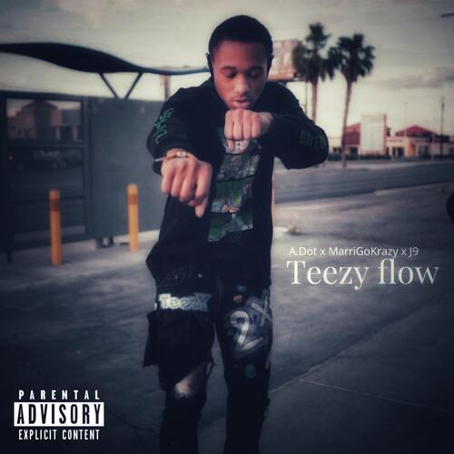 Teezy Flow cover art