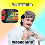 Wagha Hi Bharat Wara