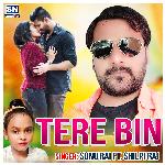 Tere Bin (Bhojpuri)