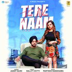 Tere Naam