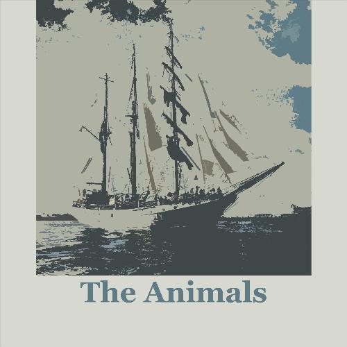 The Animals (Us)