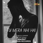 Tu Mera Nhi Hai