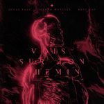 Vois sur ton chemin (Techno Mix)