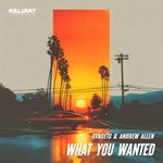 What You Wanted (SVNSETS Remix)