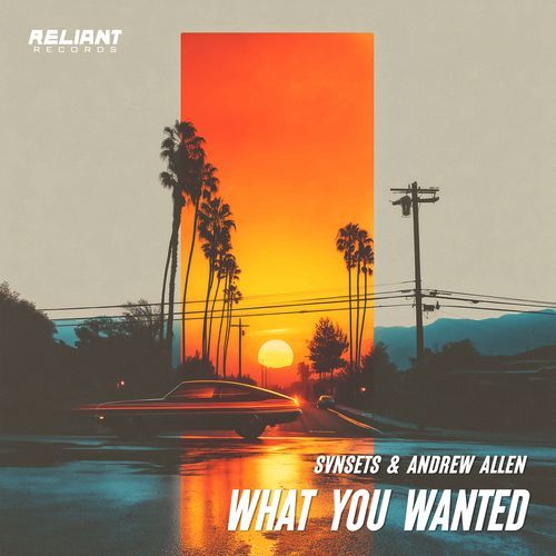 What You Wanted