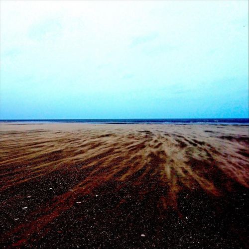scale cover art