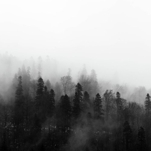 100 Natural Zen Sounds