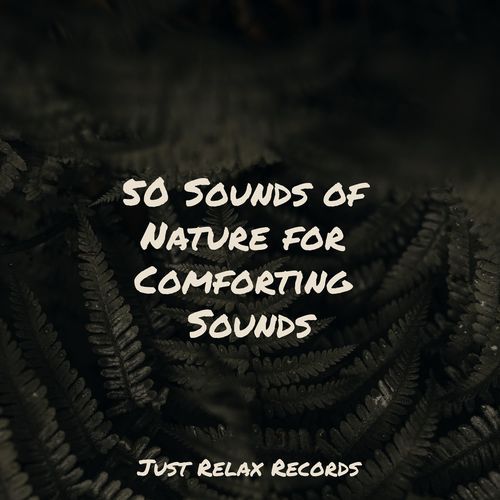 50 Sounds of Nature for Comforting Sounds