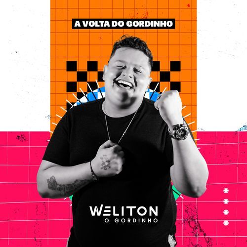 Pot-Pourri do Gordinho cover art