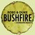 Bushfire (Donkong Remix)