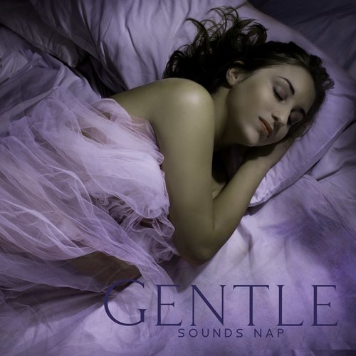 Gentle Sounds Nap: Smooth Melodies for Infants to Sleep_poster_image