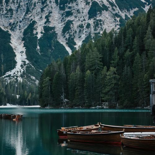 Yearn For