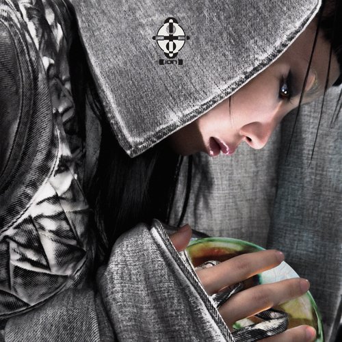 Crusader cover art