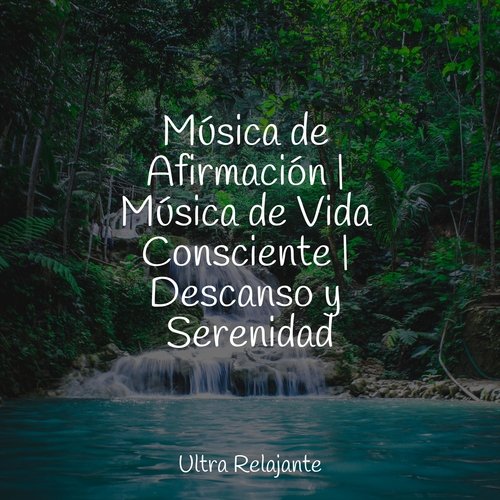 Domingos Perezosos cover art