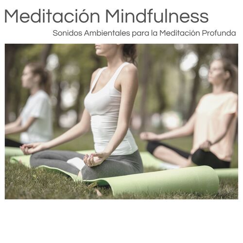 Formación del Sueño cover art