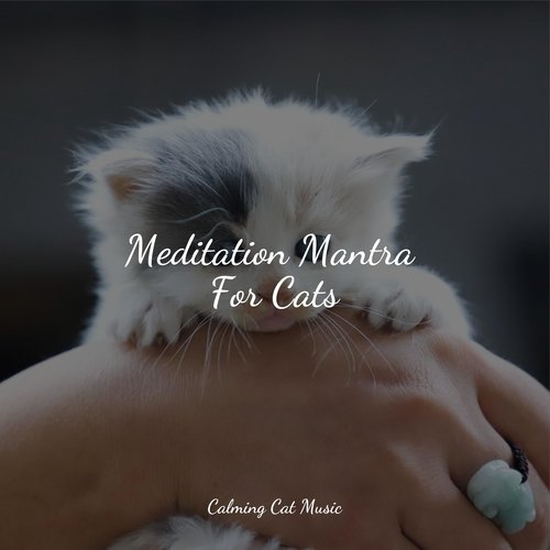 Lazy Morning cover art