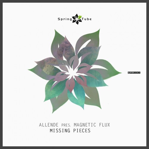 Missing Pieces_poster_image