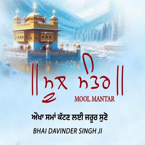 MooI Mantar