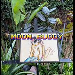 Moon Buggy