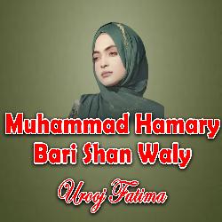 Muhammad Hamary Bari Shan Waly-BSozVCJ8YEM