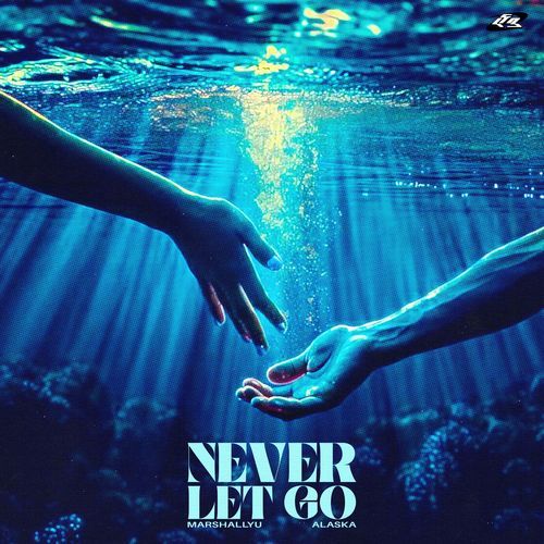 Never Let Go_poster_image