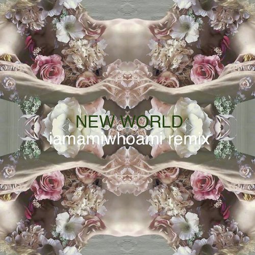 New World (iamamiwhoami Remix) cover art