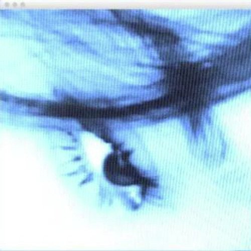 Mady cover art