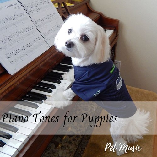 Pet Music: Piano Tones for Puppies_poster_image