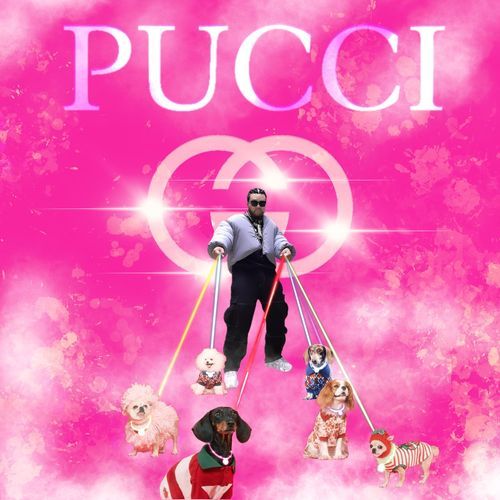 Pucci