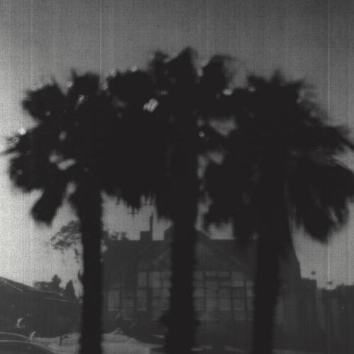 The Journalist cover art