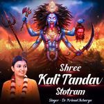 Shree Kali Tandav Stotram
