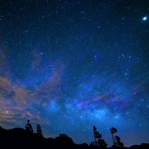 Tiny Light cover art