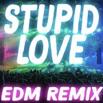 Stupid Love (EDM Remix)