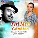 Teri Meri Chahten