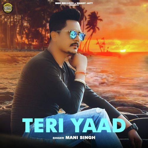 Teri Yaad_poster_image