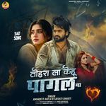 Tohra La Kehu Pagal Ba