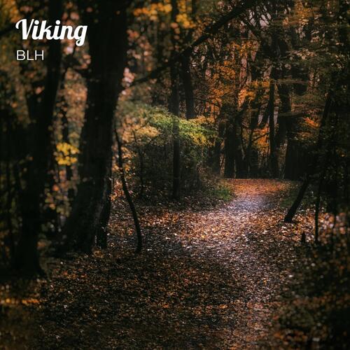 Viking cover art