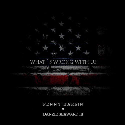 What&#039;s Wrong With Us_poster_image