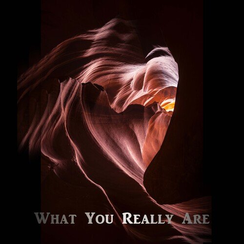 what you really are cover art