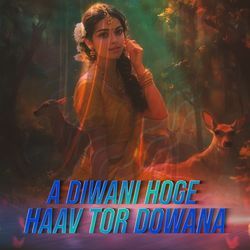 A Diwani Hoge Haav Tor Dowana-IQ4GaTh-Wn0