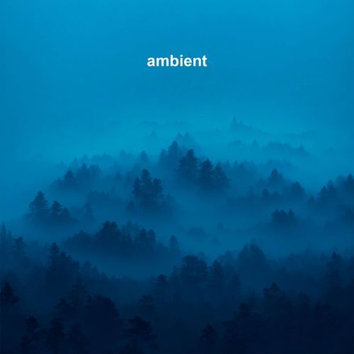 Morning Forest cover art