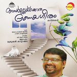 Omanapaithale