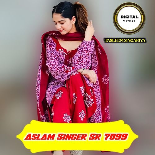 Aslam Singer Sr 7099