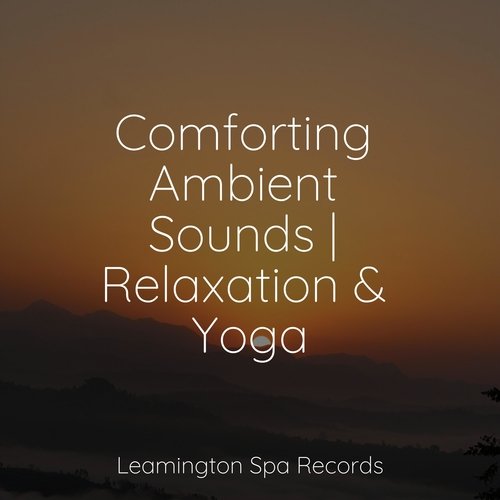 Comforting Ambient Sounds | Relaxation & Yoga