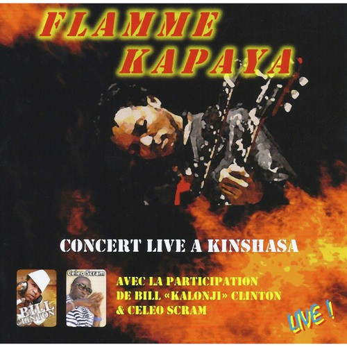 Concert Live à Kinshasa
