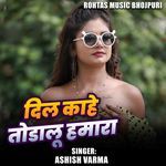 Dil Kahe Todalu Hamara